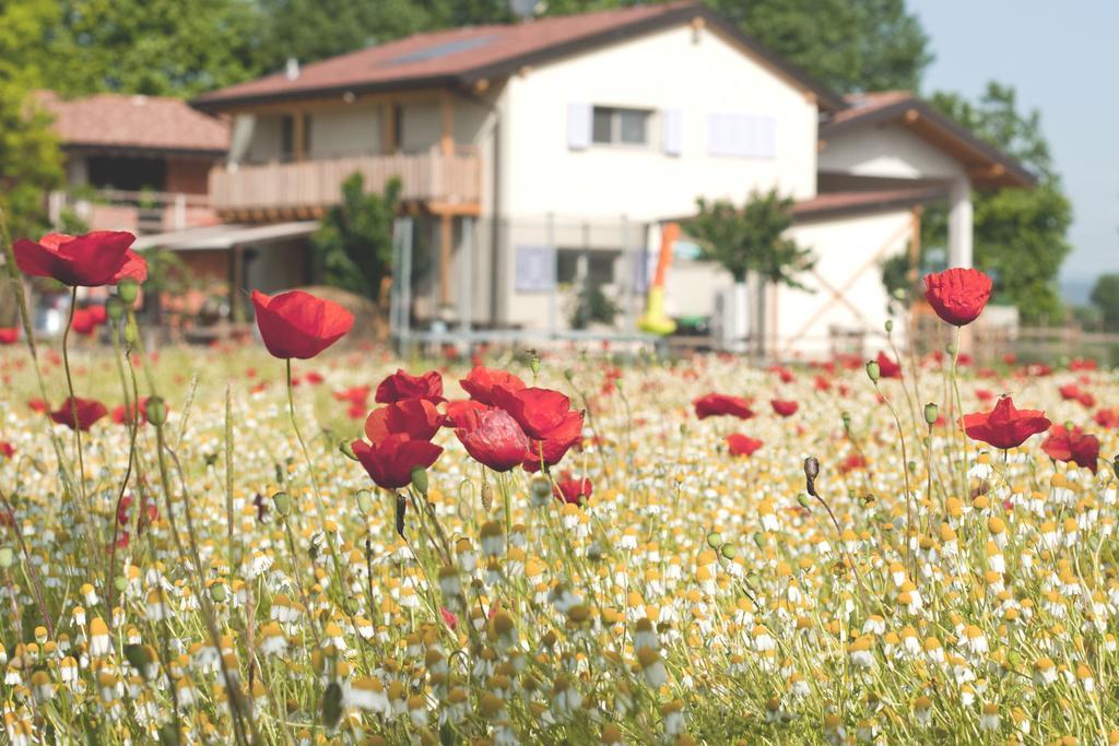 Comeback Stezzano Exteriör bild