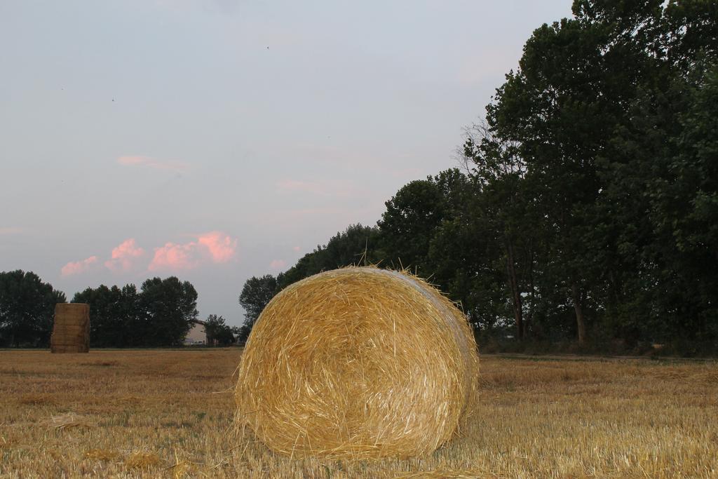 Comeback Stezzano Exteriör bild