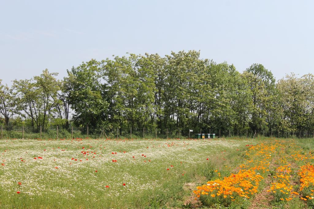 Comeback Stezzano Exteriör bild
